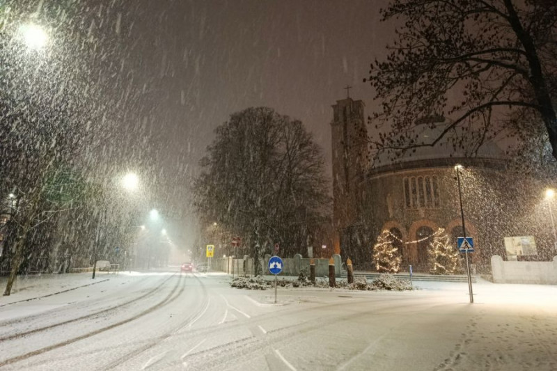 zdjęcie wyróżniające Zabójcza dla roślin, groźna dla zwierząt. Skutki sypania soli na drogi